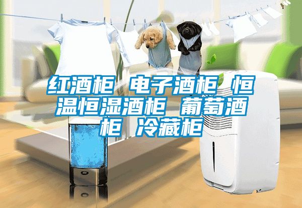 紅酒櫃 電子酒櫃 恒溫恒濕酒櫃 葡萄酒櫃 冷藏櫃