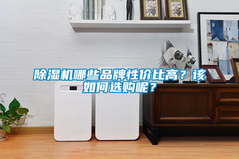 91看片在线下载機哪些品牌性價比高？該如何選購呢？