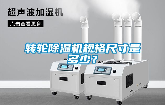 轉輪91看片在线下载機規格尺寸是多少？