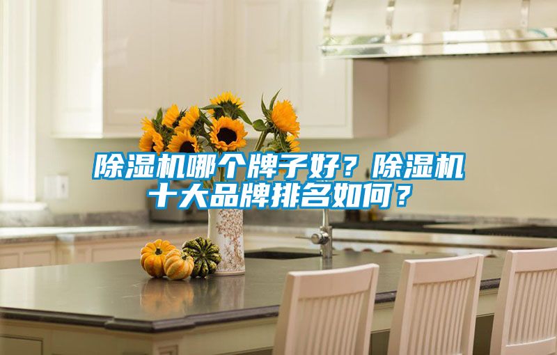 91看片在线下载機哪個牌子好？91看片在线下载機十大品牌排名如何？