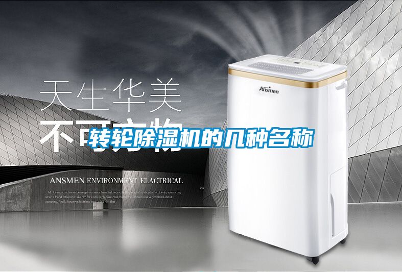 轉輪91看片在线下载機的幾種名稱