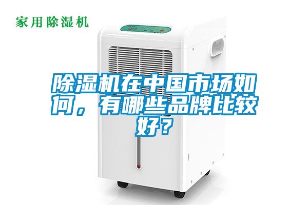 91看片在线下载機在中國市場如何，有哪些品牌比較好？