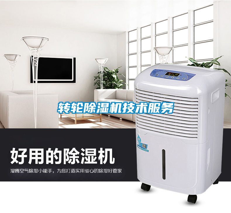 轉輪91看片在线下载機技術服務