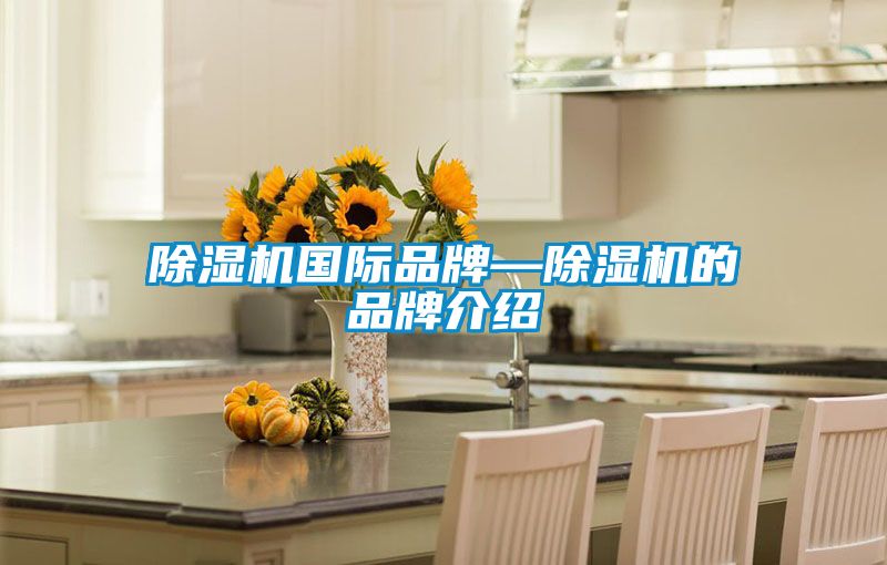 91看片在线下载機國際品牌—91看片在线下载機的品牌介紹