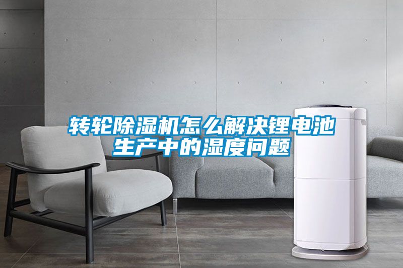 轉輪91看片在线下载機怎麽解決鋰電池生產中的濕度問題