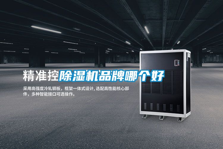 91看片在线下载機品牌哪個好