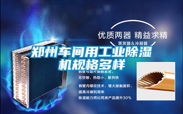 鄭州車間用工業91看片在线下载機規格多樣