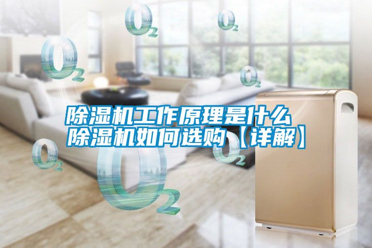 91看片在线下载機工作原理是什麽 91看片在线下载機如何選購【詳解】