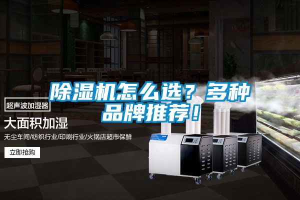 91看片在线下载機怎麽選？多種品牌推薦！