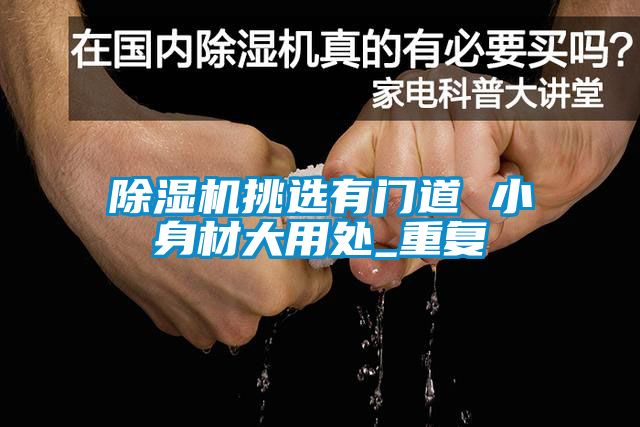91看片在线下载機挑選有門道 小身材大用處_重複