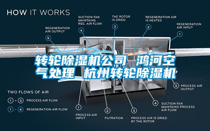 轉輪91看片在线下载機公司 鴻河空氣處理 杭州轉輪91看片在线下载機