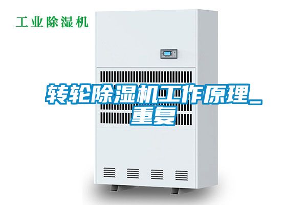 轉輪91看片在线下载機工作原理_重複