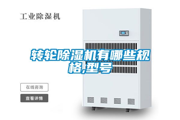 轉輪91看片在线下载機有哪些規格,型號