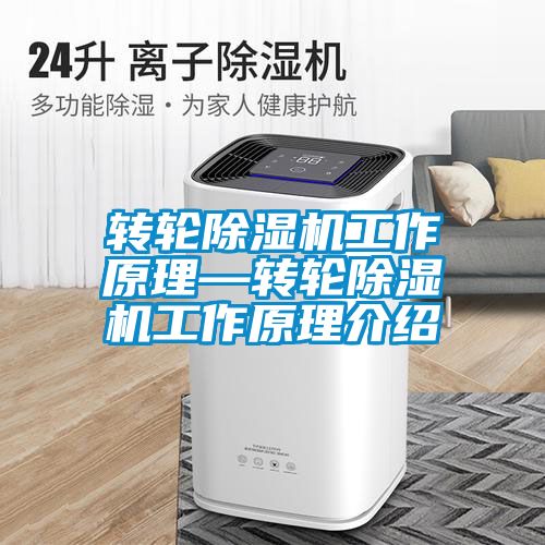 轉輪91看片在线下载機工作原理—轉輪91看片在线下载機工作原理介紹