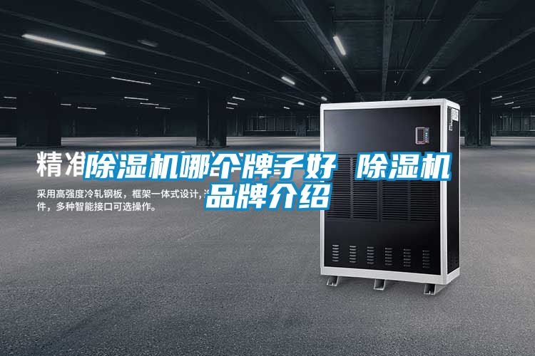91看片在线下载機哪個牌子好 91看片在线下载機品牌介紹