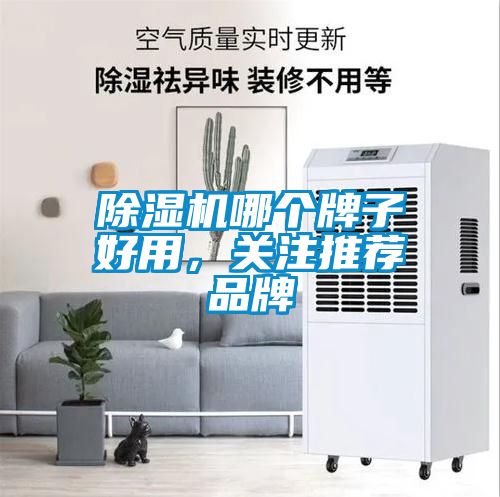 91看片在线下载機哪個牌子好用，關注推薦品牌
