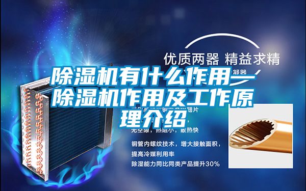 91看片在线下载機有什麽作用—91看片在线下载機作用及工作原理介紹