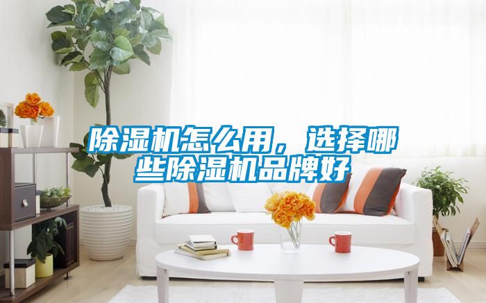 91看片在线下载機怎麽用，選擇哪些91看片在线下载機品牌好