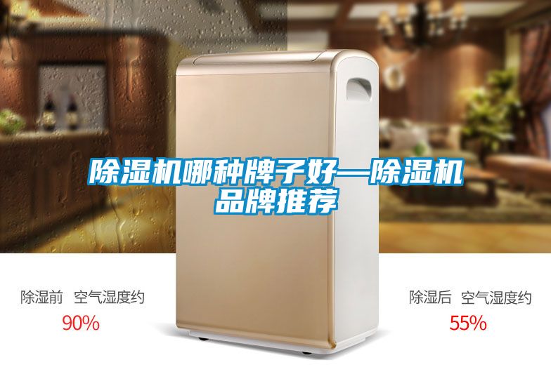 91看片在线下载機哪種牌子好—91看片在线下载機品牌推薦