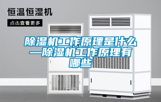 91看片在线下载機工作原理是什麽—91看片在线下载機工作原理有哪些