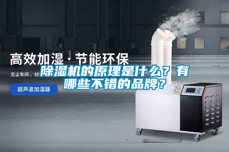 91看片在线下载機的原理是什麽？有哪些不錯的品牌？