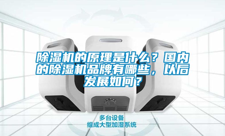 91看片在线下载機的原理是什麽？國內的91看片在线下载機品牌有哪些，以後發展如何？