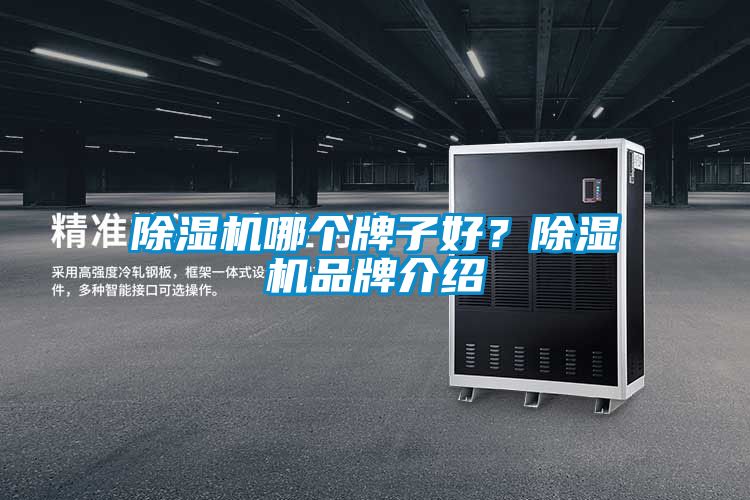 91看片在线下载機哪個牌子好？91看片在线下载機品牌介紹