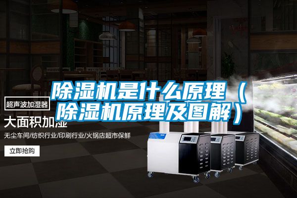 91看片在线下载機是什麽原理（91看片在线下载機原理及圖解）
