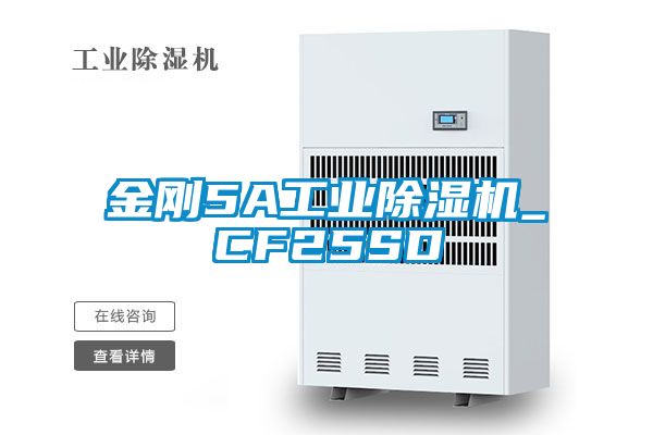 金剛5A工業91看片在线下载機_CF25SD