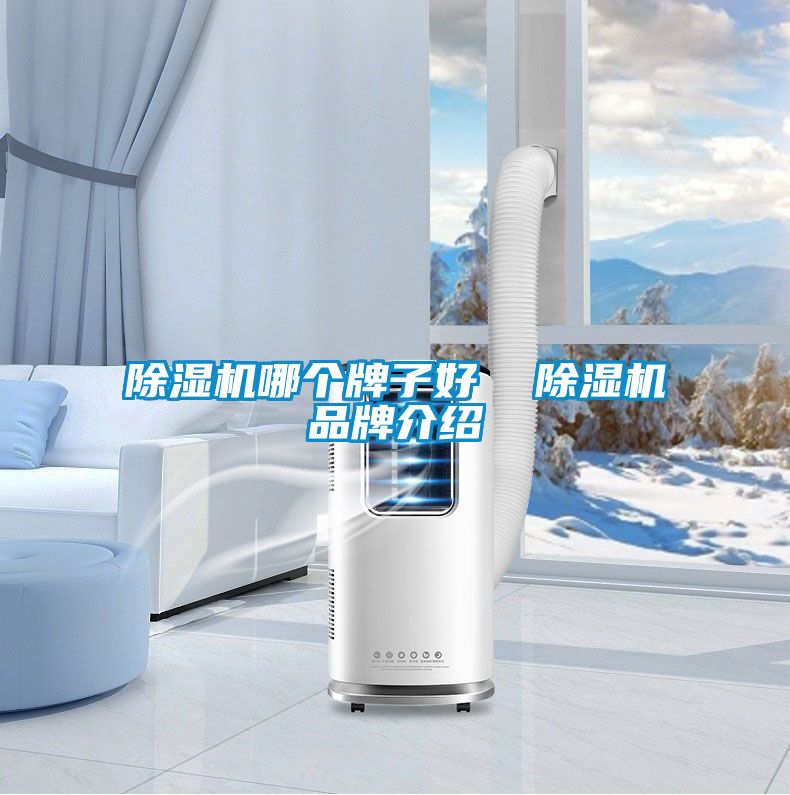 91看片在线下载機哪個牌子好  91看片在线下载機品牌介紹