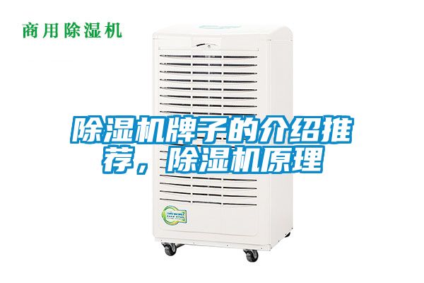 91看片在线下载機牌子的介紹推薦，91看片在线下载機原理