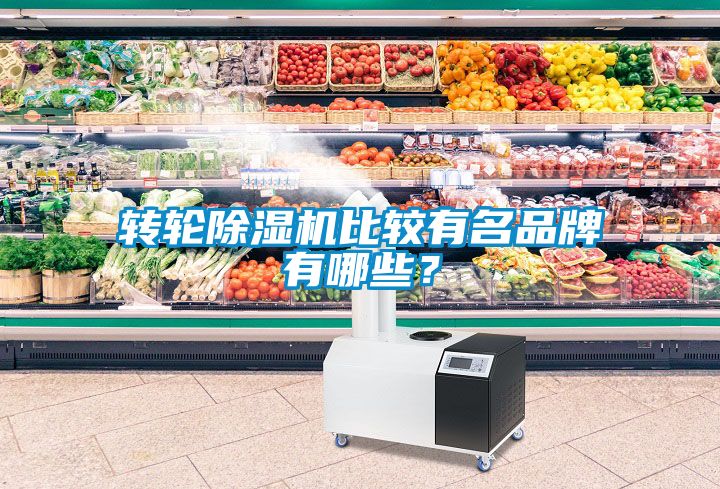 轉輪91看片在线下载機比較有名品牌有哪些？