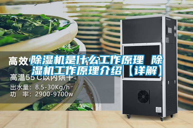 91看片在线下载機是什麽工作原理 91看片在线下载機工作原理介紹【詳解】