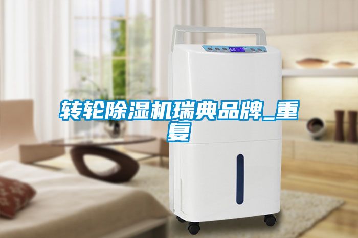 轉輪91看片在线下载機瑞典品牌_重複
