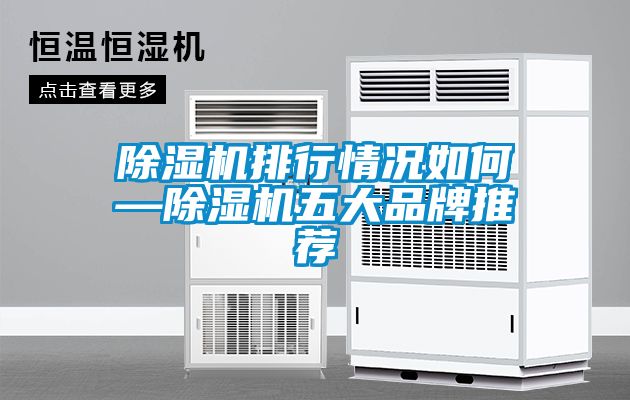91看片在线下载機排行情況如何—91看片在线下载機五大品牌推薦