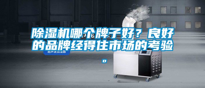 91看片在线下载機哪個牌子好？良好的品牌經得住市場的考驗。