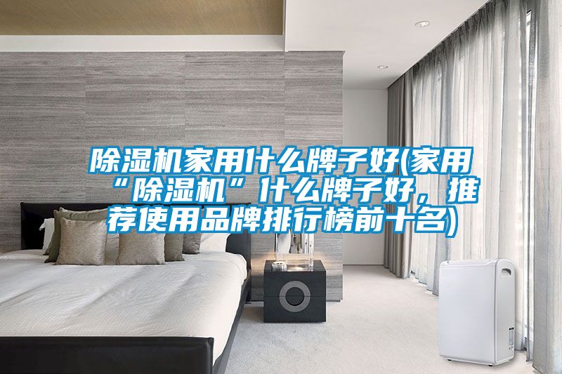 91看片在线下载機家用什麽牌子好(家用“91看片在线下载機”什麽牌子好，推薦使用品牌排行榜前十名)