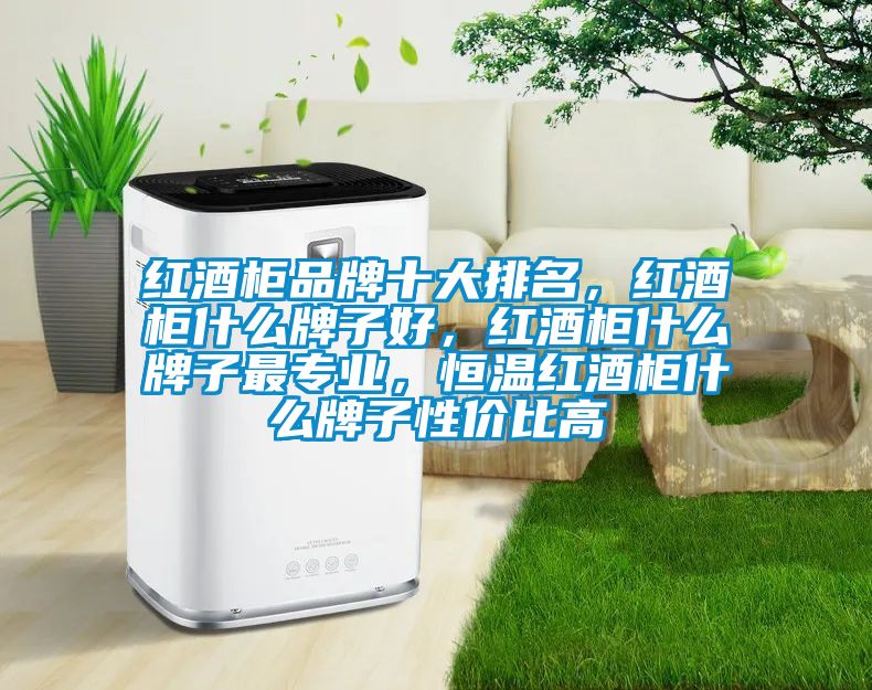 紅酒櫃品牌十大排名，紅酒櫃什麽牌子好，紅酒櫃什麽牌子最專業，恒溫紅酒櫃什麽牌子性價比高