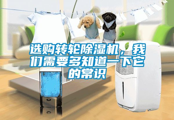 選購轉輪91看片在线下载機，91免费看片APP需要多知道一下它的常識