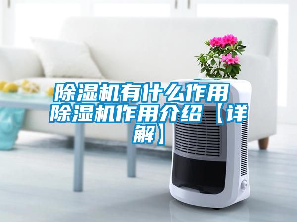 91看片在线下载機有什麽作用 91看片在线下载機作用介紹【詳解】