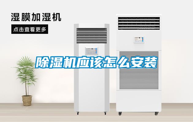 91看片在线下载機應該怎麽安裝