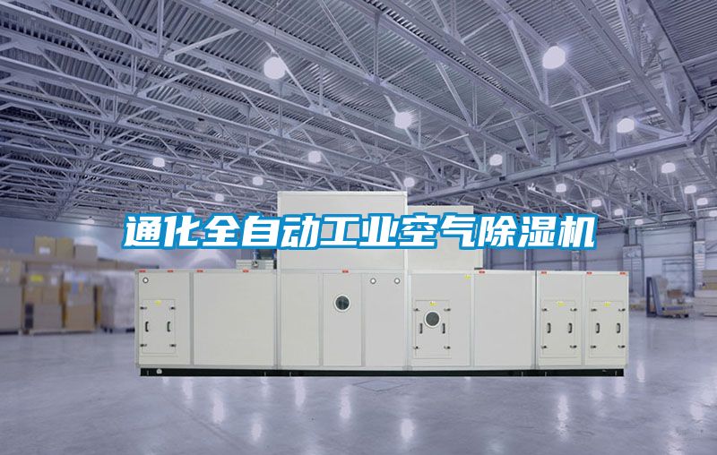 通化全自動工業空氣91看片在线下载機