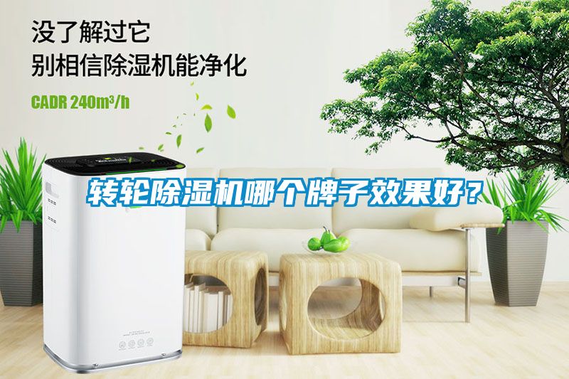 轉輪91看片在线下载機哪個牌子效果好？