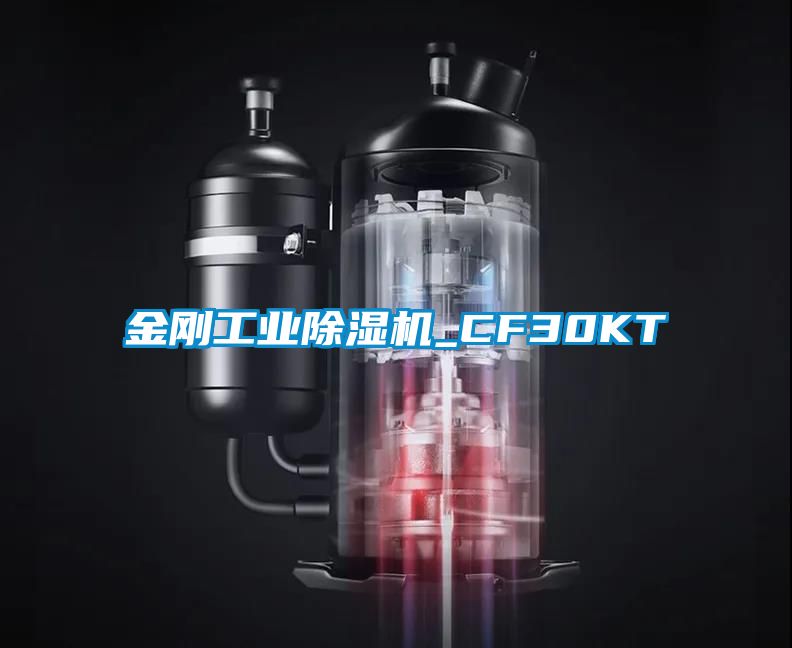 金剛工業91看片在线下载機_CF30KT