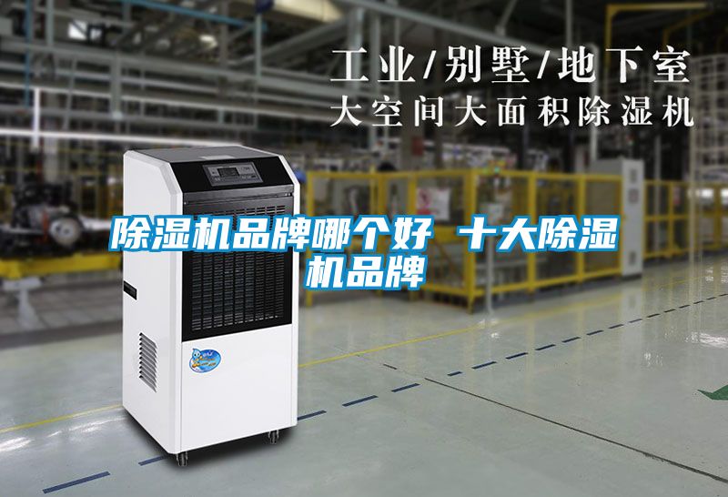 91看片在线下载機品牌哪個好 十大91看片在线下载機品牌