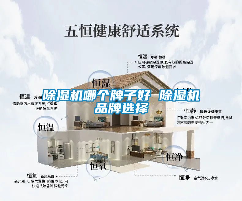 91看片在线下载機哪個牌子好 91看片在线下载機品牌選擇
