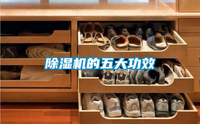 91看片在线下载機的五大功效