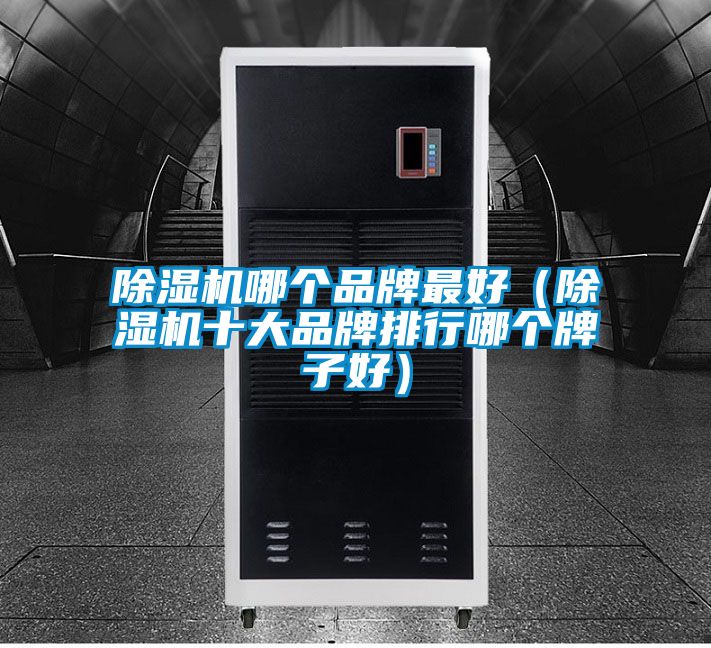 91看片在线下载機哪個品牌最好（91看片在线下载機十大品牌排行哪個牌子好）