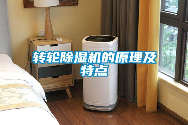 轉輪91看片在线下载機的原理及特點