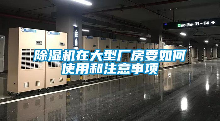 91看片在线下载機在大型廠房要如何使用和注意事項
